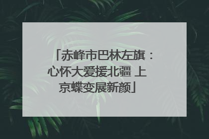 赤峰市巴林左旗：心怀大爱援北疆 上京蝶变展新颜