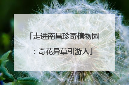 走进南昌珍奇植物园：奇花异草引游人