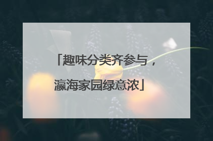 趣味分类齐参与，瀛海家园绿意浓