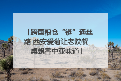 跨国粮仓“链”通丝路 西安爱菊让老陕餐桌飘香中亚味道