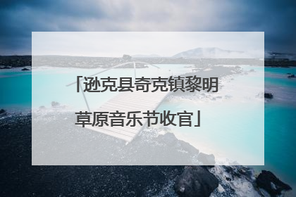 逊克县奇克镇黎明草原音乐节收官