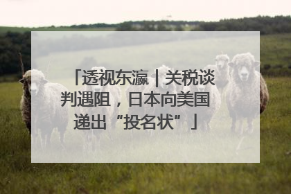 透视东瀛｜关税谈判遇阻，日本向美国递出“投名状”