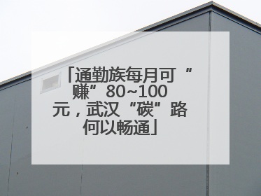 通勤族每月可“赚”80~100元，武汉“碳”路何以畅通