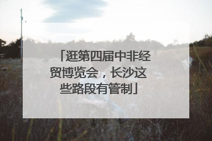 逛第四届中非经贸博览会，长沙这些路段有管制