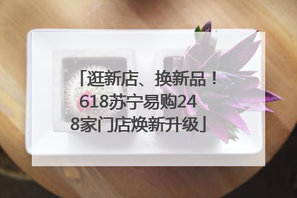 逛新店、换新品！618苏宁易购248家门店焕新升级