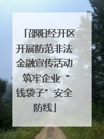 邵阳经开区开展防范非法金融宣传活动 筑牢企业“钱袋子”安全防线