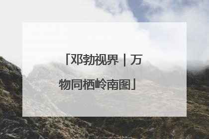 邓勃视界｜万物同栖岭南图