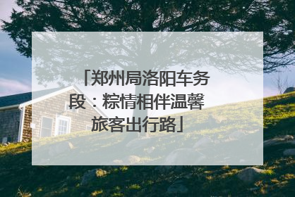 郑州局洛阳车务段：粽情相伴温馨旅客出行路