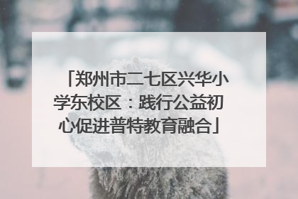 郑州市二七区兴华小学东校区：践行公益初心促进普特教育融合