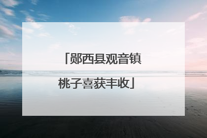 郧西县观音镇桃子喜获丰收