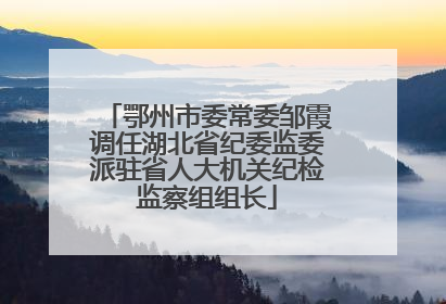 鄂州市委常委邹霞调任湖北省纪委监委派驻省人大机关纪检监察组组长