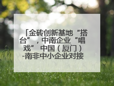 金砖创新基地“搭台”，中南企业“唱戏” 中国（厦门）-南非中小企业对接会在厦举办