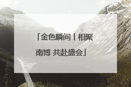金色瞬间丨相聚南博 共赴盛会