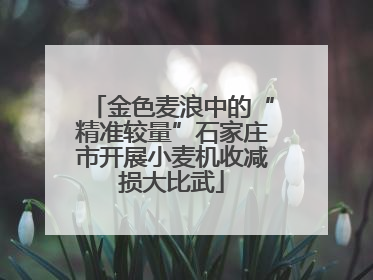 金色麦浪中的“精准较量”石家庄市开展小麦机收减损大比武