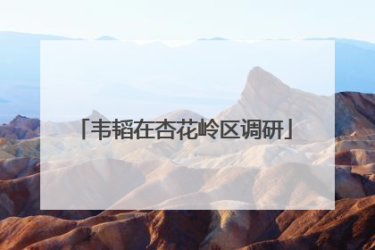 韦韬在杏花岭区调研
