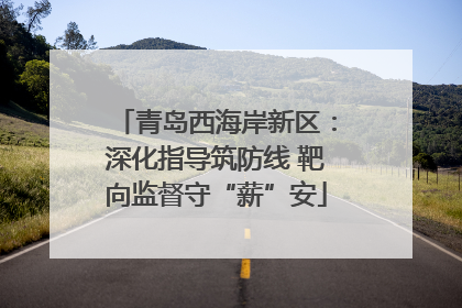 青岛西海岸新区：深化指导筑防线 靶向监督守“薪”安