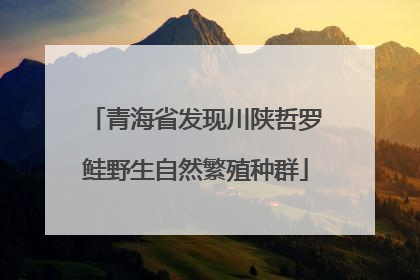 青海省发现川陕哲罗鲑野生自然繁殖种群
