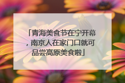 青海美食节在宁开幕，南京人在家门口就可品尝高原美食啦