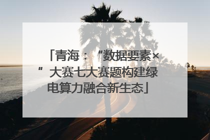 青海：“数据要素×”大赛七大赛题构建绿电算力融合新生态