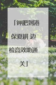 钾肥到港保夏耕 边检高效助通关