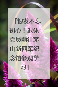 银发不忘初心！退休党员前往茅山新四军纪念馆参观学习