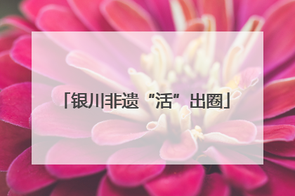 银川非遗“活”出圈