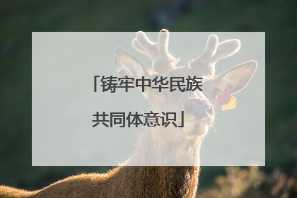 铸牢中华民族共同体意识