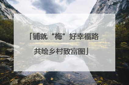 铺就“梅”好幸福路 共绘乡村致富图