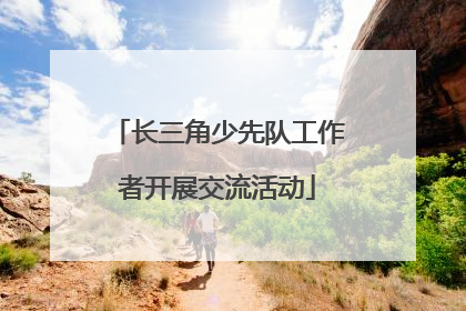 长三角少先队工作者开展交流活动