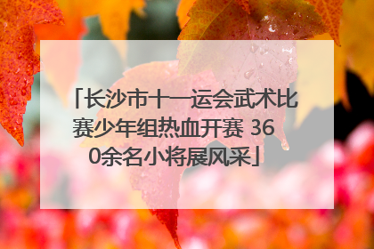 长沙市十一运会武术比赛少年组热血开赛 360余名小将展风采