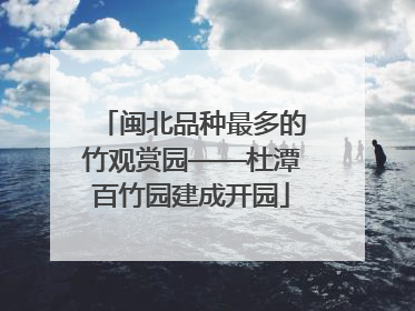 闽北品种最多的竹观赏园——杜潭百竹园建成开园