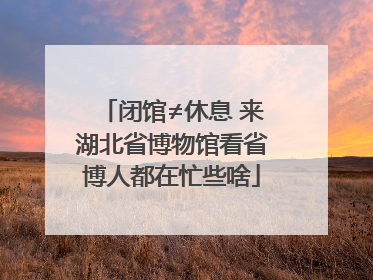 闭馆≠休息 来湖北省博物馆看省博人都在忙些啥