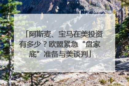阿斯麦、宝马在美投资有多少？欧盟紧急“盘家底”准备与美谈判