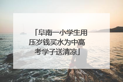 阜南一小学生用压岁钱买水为中高考学子送清凉