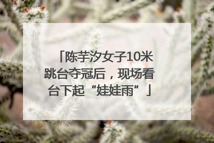 陈芋汐女子10米跳台夺冠后，现场看台下起“娃娃雨”