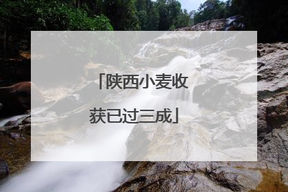 陕西小麦收获已过三成