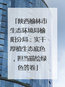 陕西榆林市生态环境局榆阳分局：实干厚植生态底色，担当描绘绿色答卷