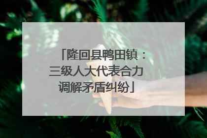 隆回县鸭田镇：三级人大代表合力调解矛盾纠纷