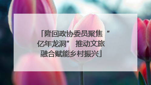 隆回政协委员聚焦“亿年龙洞” 推动文旅融合赋能乡村振兴