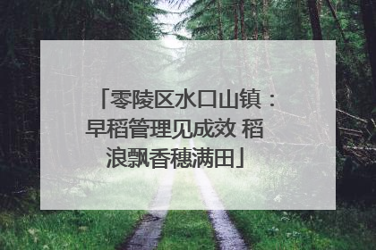 零陵区水口山镇：早稻管理见成效 稻浪飘香穗满田