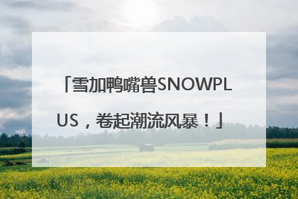 雪加鸭嘴兽SNOWPLUS，卷起潮流风暴！