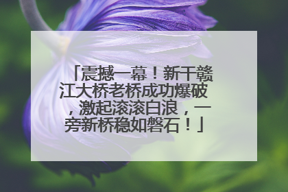 震撼一幕！新干赣江大桥老桥成功爆破，激起滚滚白浪，一旁新桥稳如磐石！