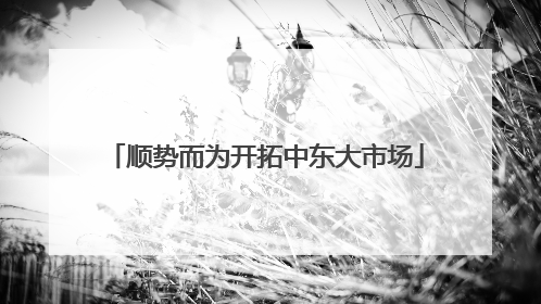 顺势而为开拓中东大市场