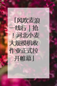 风吹麦浪一线行｜抢！河北小麦大规模机收作业正式拉开帷幕