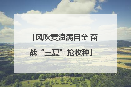 风吹麦浪满目金 奋战“三夏”抢收种