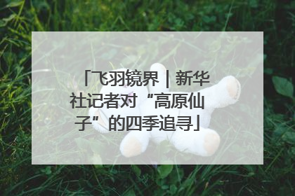 飞羽镜界｜新华社记者对“高原仙子”的四季追寻