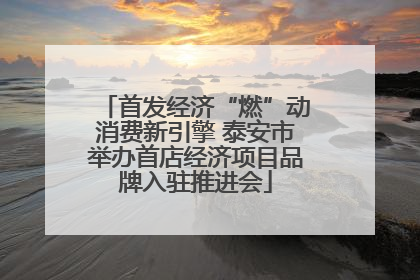 首发经济“燃”动消费新引擎 泰安市举办首店经济项目品牌入驻推进会