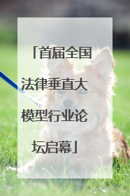 首届全国法律垂直大模型行业论坛启幕