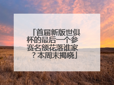 首届新版世俱杯的最后一个参赛名额花落谁家？本周末揭晓