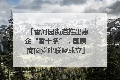 香河园街道推出惠企“香十条”，国展商圈党建联盟成立